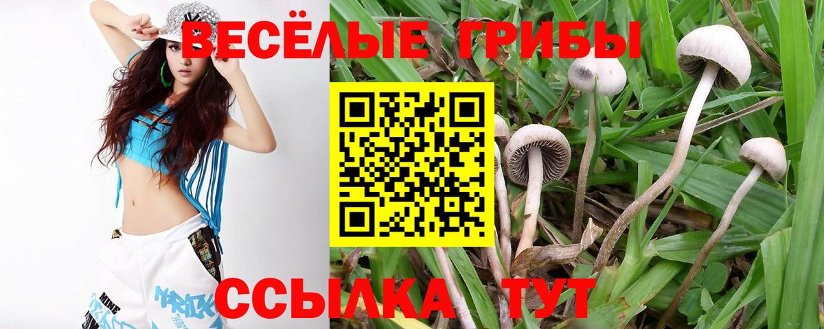 Псилоцибиновые грибы Magic Shrooms  Вход с VPN  Похвистнево 